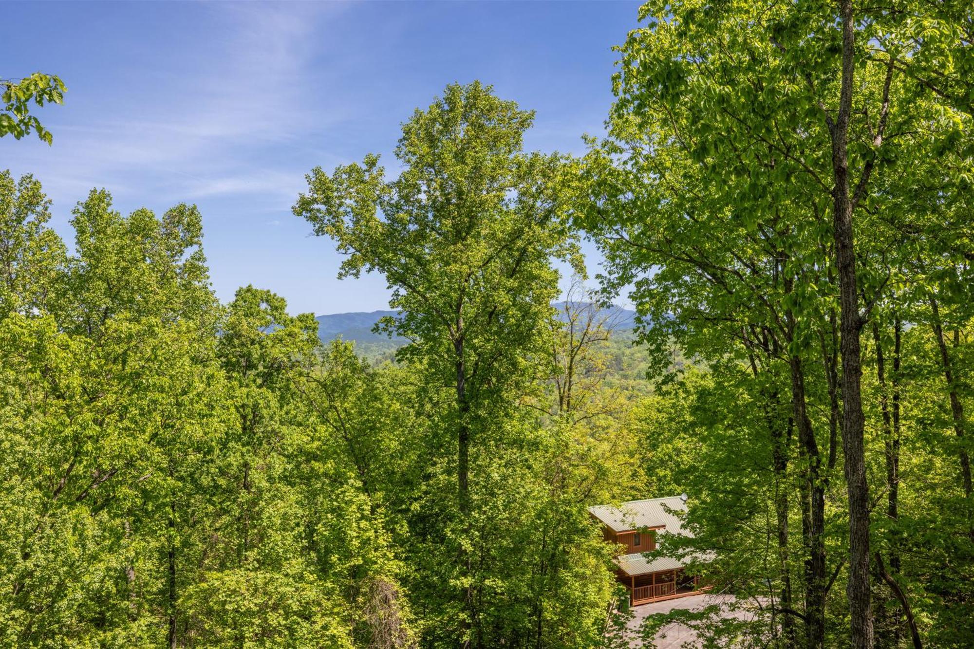 Moonlight Obsession A Dog Friendly 2 Bd 2 Bath Log Cabin Located 5 Miles From Downtown Gatlinburg Villa Exterior photo